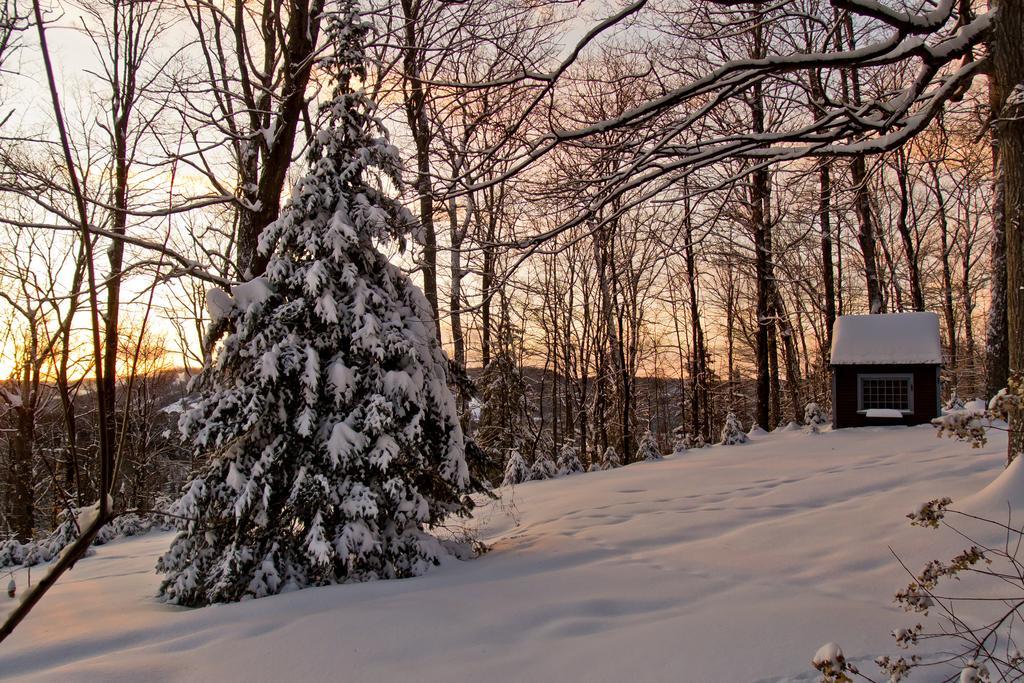 Le Petit Clocher Touristique Bed & Breakfast Saint-Sauveur