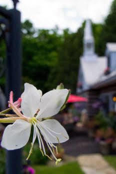 Le Petit Clocher Touristique 5* Saint-Sauveur